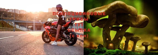 наркотики Краснослободск